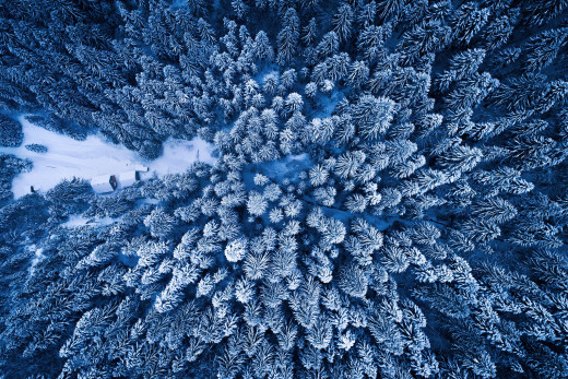 1431757 (a): :2048x1364